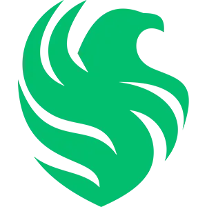 Falcons Team Logo