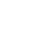 MIBR Team