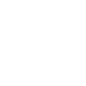 Team Spirit Team Logo
