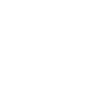 TSM Team Logo