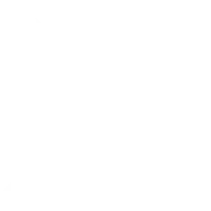 Xen Team Logo