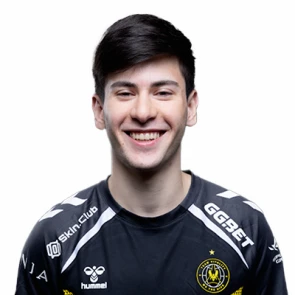 Vitality flamez Cs2 Profilbild May 2025