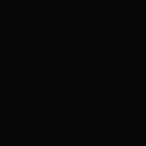 Natus Vincere staed Pubg Profilbild May 2025